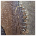 collage image title